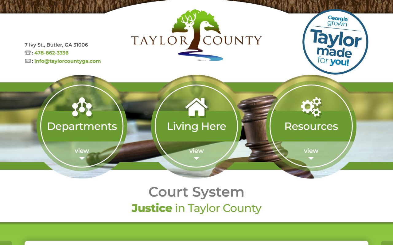 Taylor County criminal court case official court system page